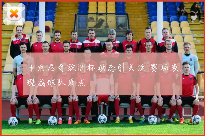 卡利尼奇欧洲杯动态引关注 赛场表现成球队看点