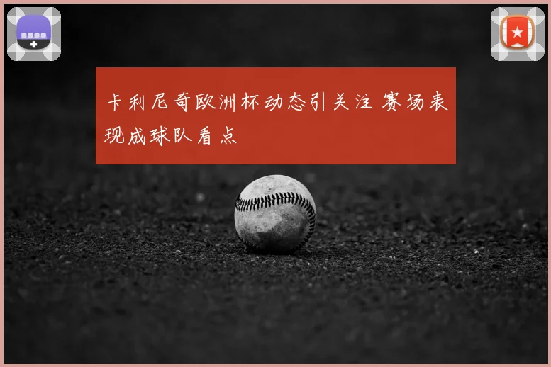 卡利尼奇欧洲杯动态引关注 赛场表现成球队看点