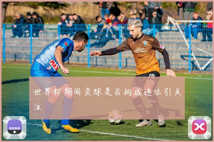 世界杯期间卖球是否构成违法引关注
