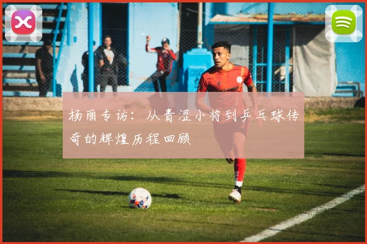 杨丽专访:从青涩小将到乒乓球传奇的辉煌历程回顾