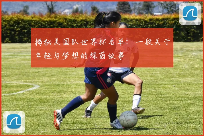揭秘美国队世界杯名单：一段关于年轻与梦想的绿茵故事