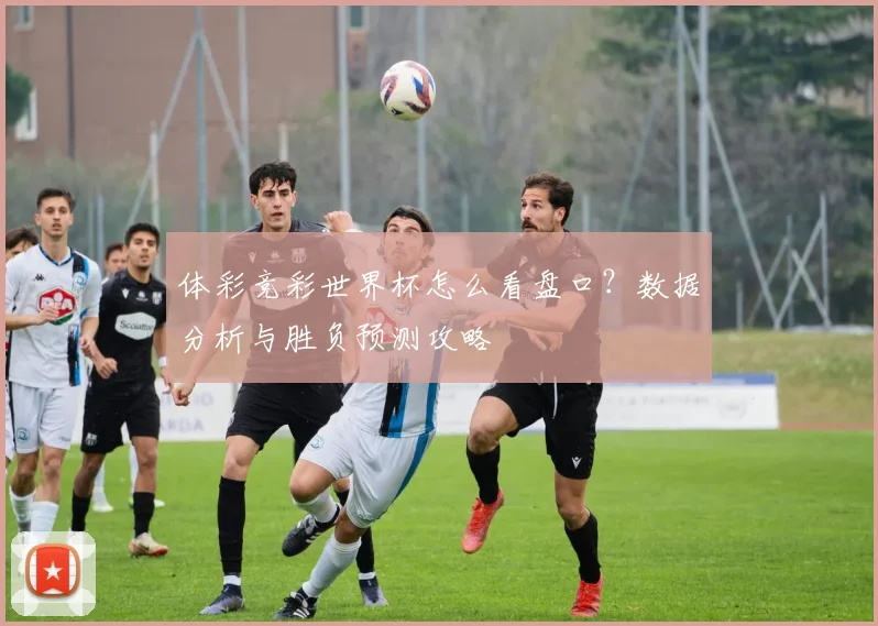 体彩竞彩世界杯怎么看盘口?数据分析与胜负预测攻略