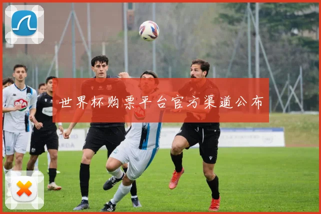 世界杯购票平台官方渠道公布