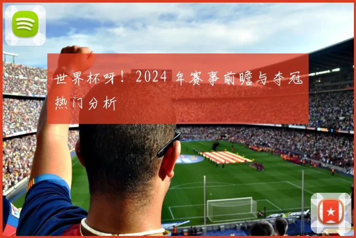 世界杯呀!2024 年赛事前瞻与夺冠热门分析