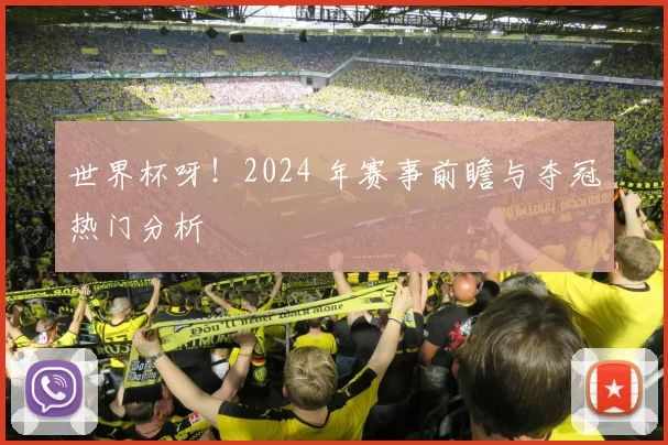 世界杯呀!2024 年赛事前瞻与夺冠热门分析