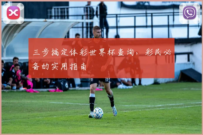 三步搞定体彩世界杯查询，彩民必备的实用指南