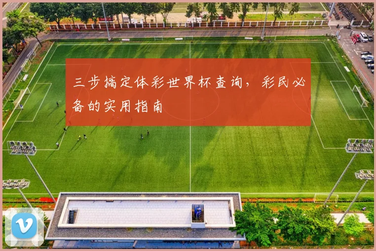 三步搞定体彩世界杯查询,彩民必备的实用指南