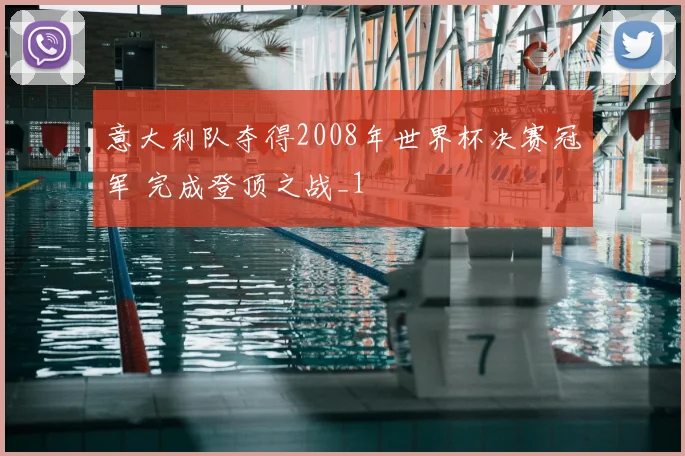 意大利队夺得2008年世界杯决赛冠军 完成登顶之战_1