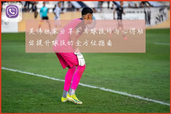 吴伟独家分享乒乓球技巧与心得助你提升球技的全方位指南
