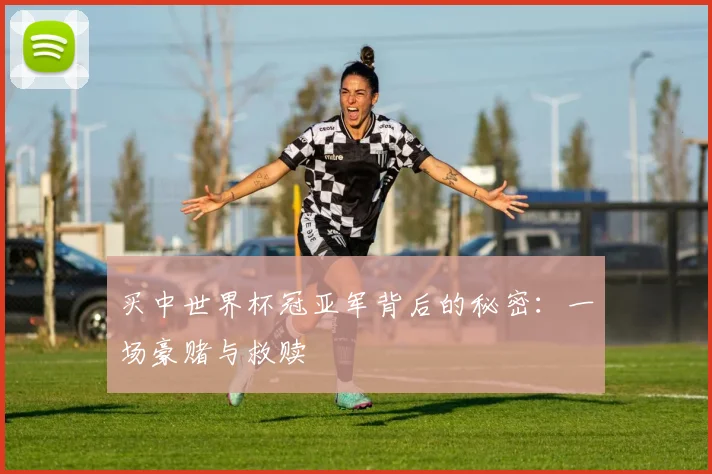 买中世界杯冠亚军背后的秘密:一场豪赌与救赎